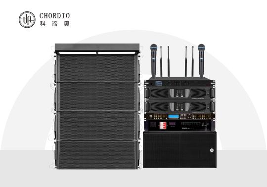 LY310 sound system